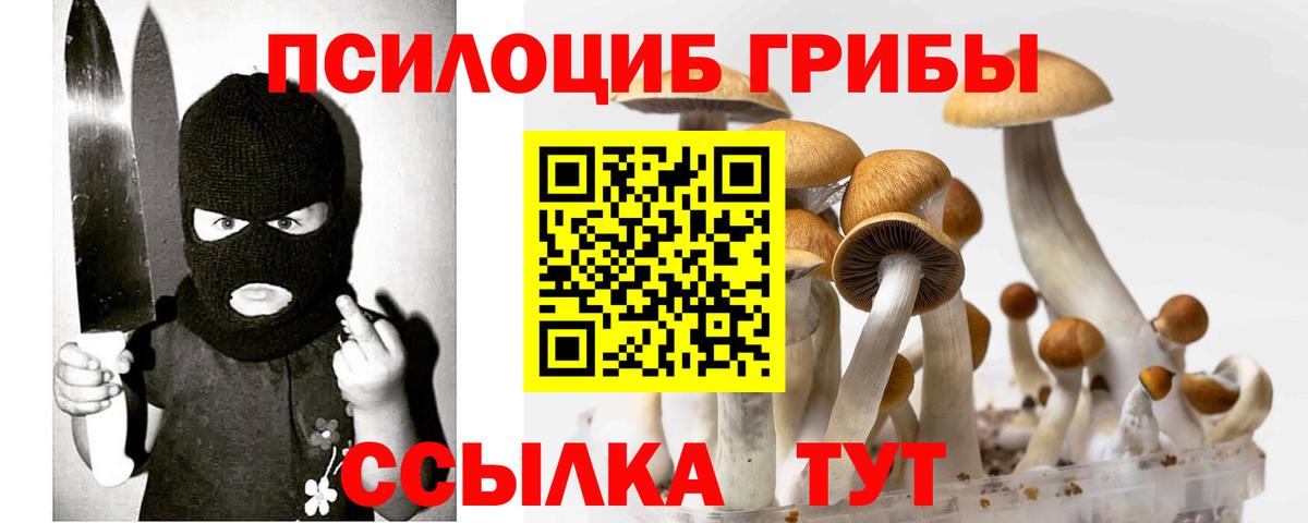 Кисловодск  Псилоцибиновые грибы прущие грибы  Вход с VPN  Галлюциногенные грибы Psilocybe 